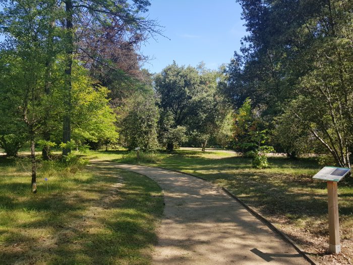 L'Arboretum des Barres à Nogent-sur-Vernisson