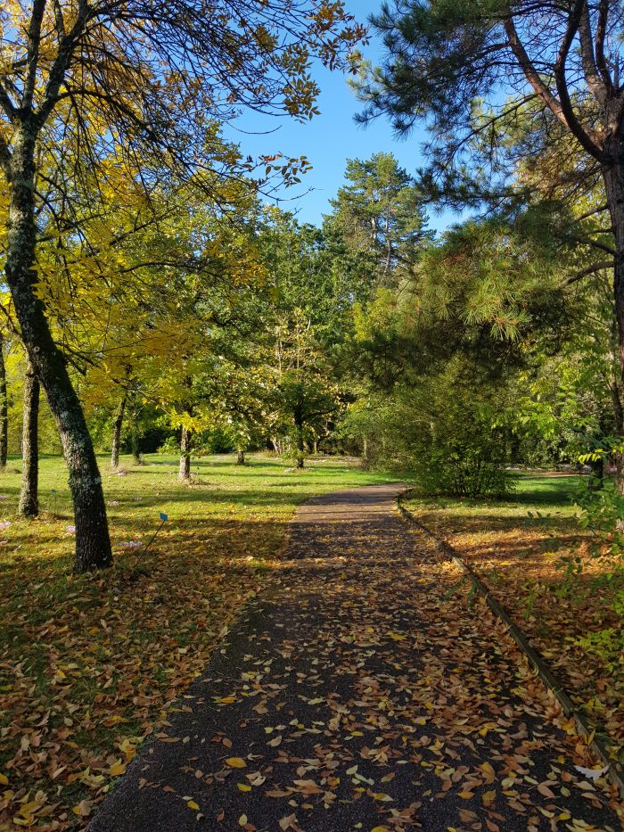 L'Arboretum des Barres à Nogent-sur-Vernisson en automne