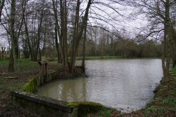 Aire de pique-nique de l’étang de Jobert