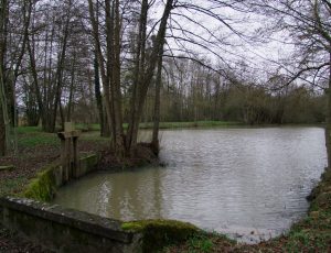 étang de Jobert